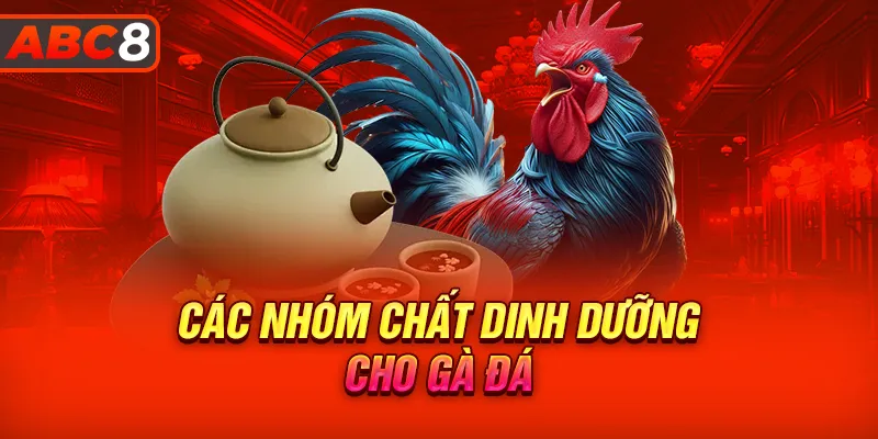 Các nhóm chất dinh dưỡng cho gà đá cần thiết