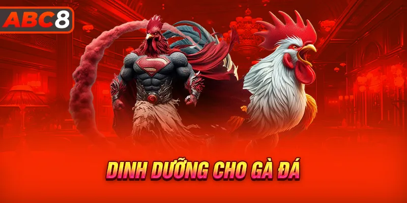 Dinh dưỡng cho gà đá