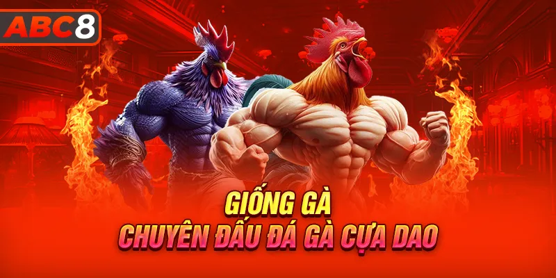 Những giống gà chuyên dùng trong đá gà cựa dao