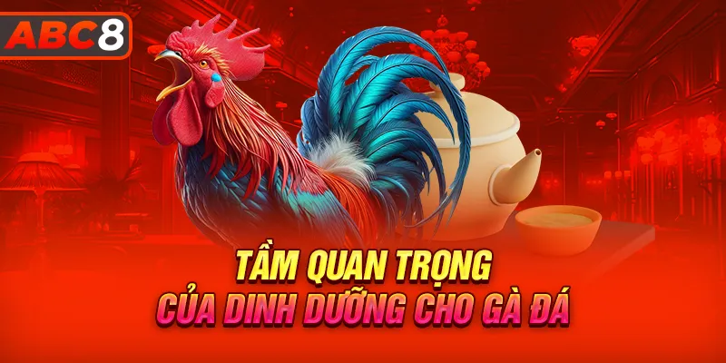 Tầm quan trọng của dinh dưỡng cho gà đá